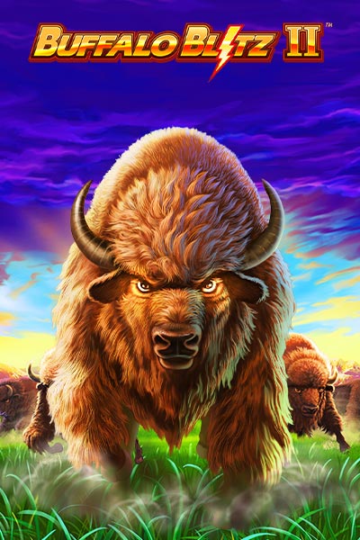 Buffalo Blitz 2